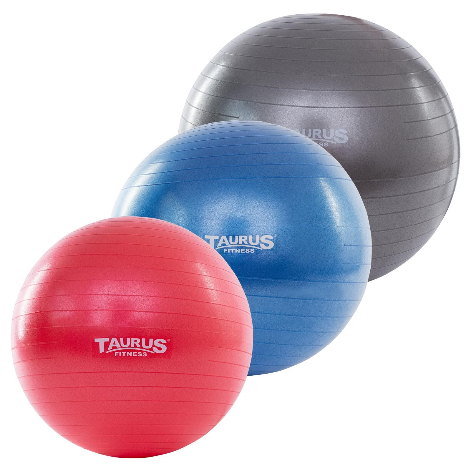 Gym Bal anti-burst - 75 cm 2/4
