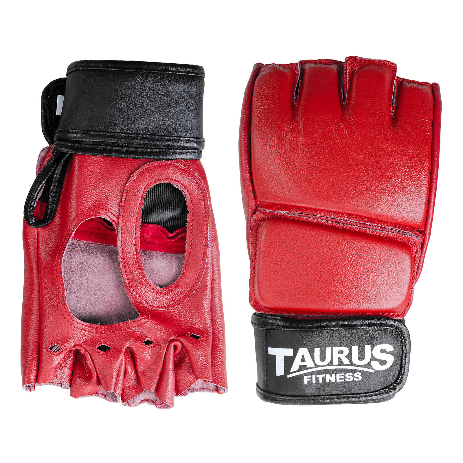 TAURUS picture