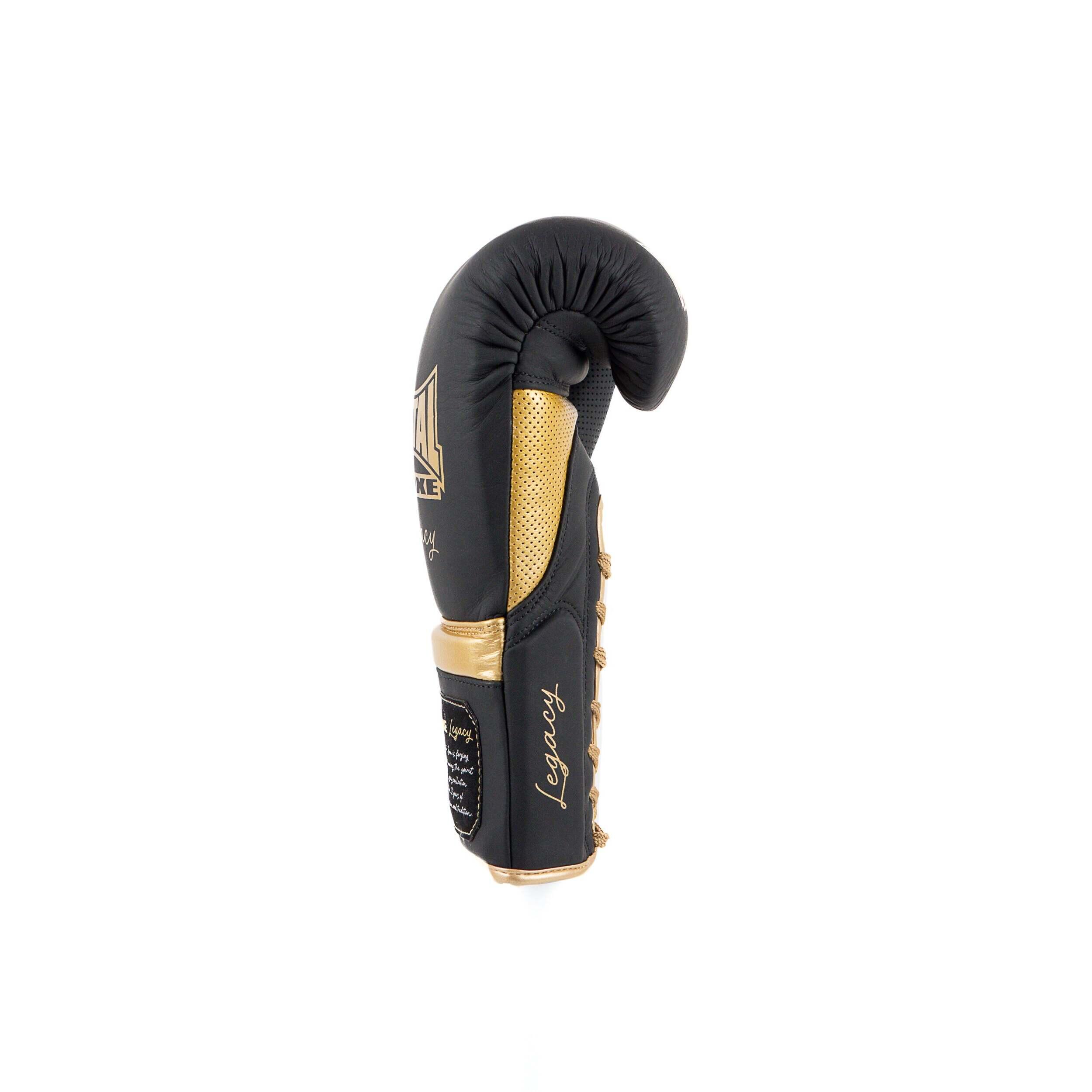 Gants de boxe Metal Boxe Legacy Horse Hair 7/7