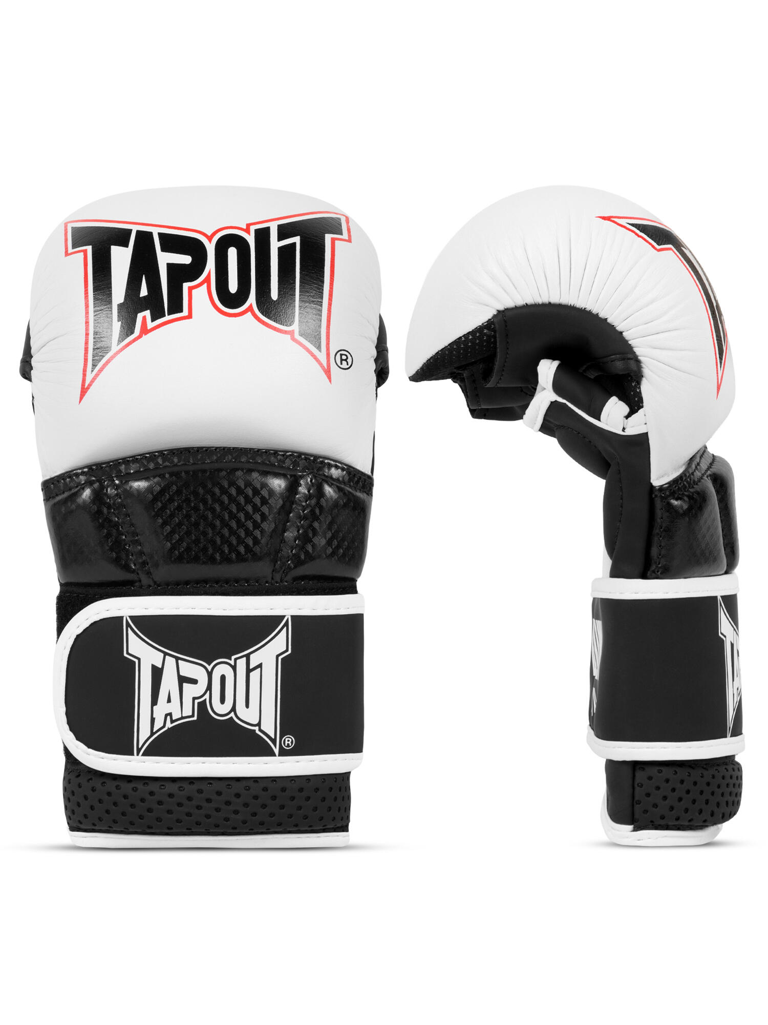 TAPOUT picture