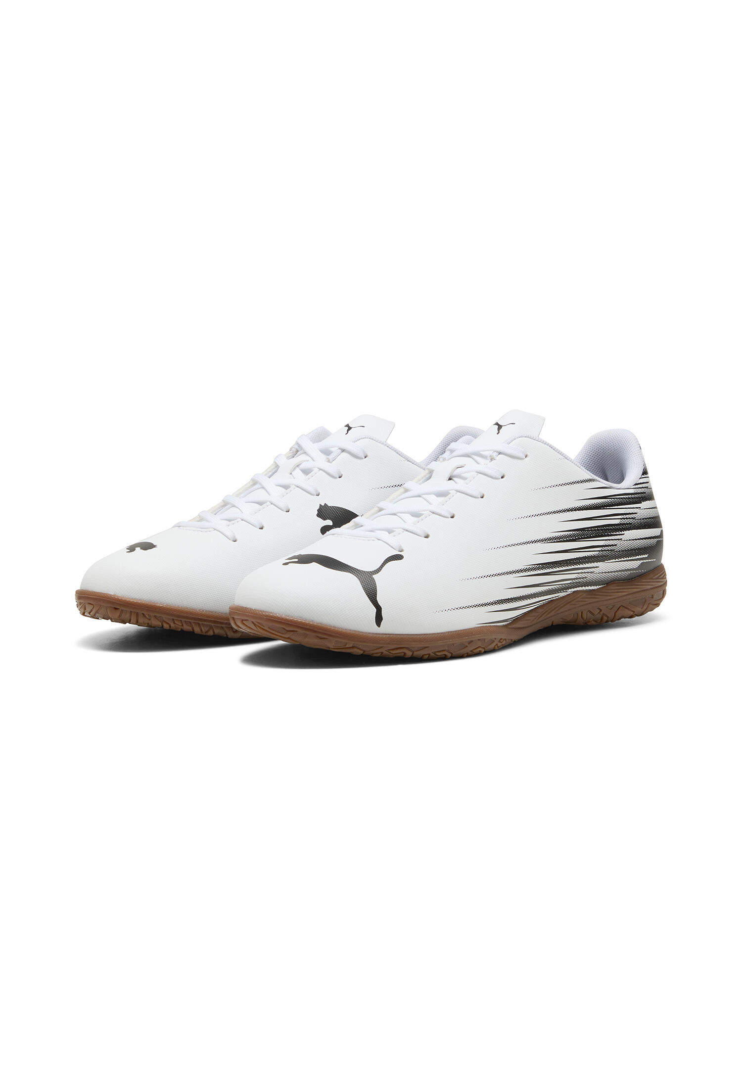 PUMA picture