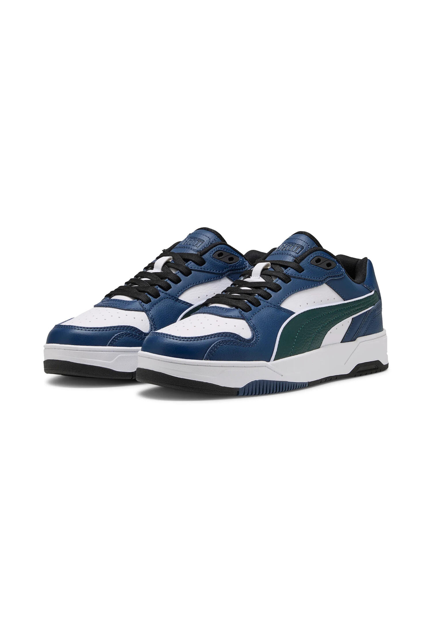 PUMA picture