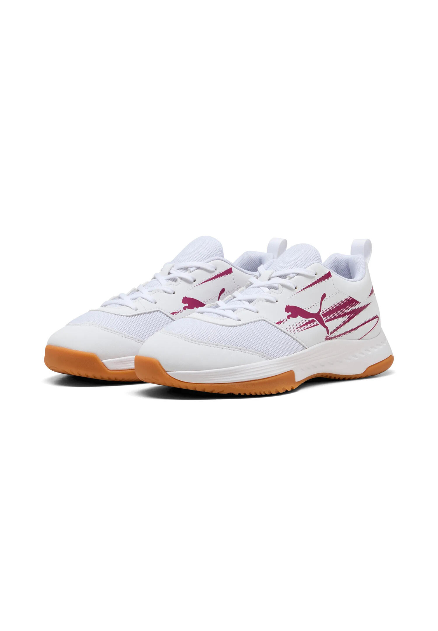 PUMA picture