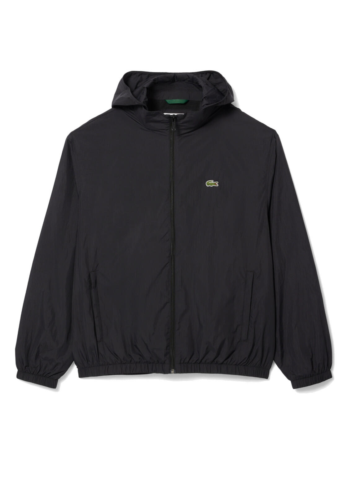 LACOSTE picture