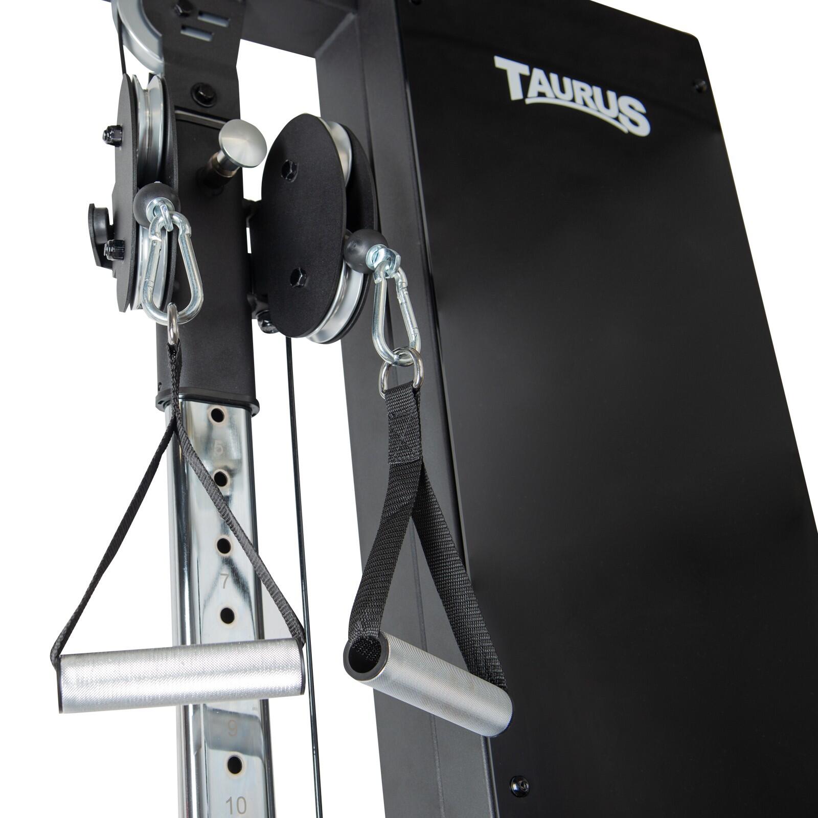 Taurus Design Line Single Pulley 67,5 kg 4/4