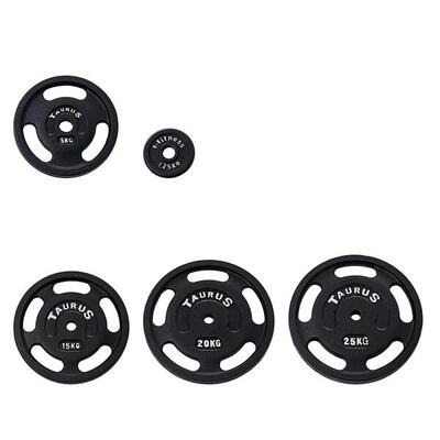 Gietijzer halterschijven met greep 3g (30 mm) - 2,5 kg