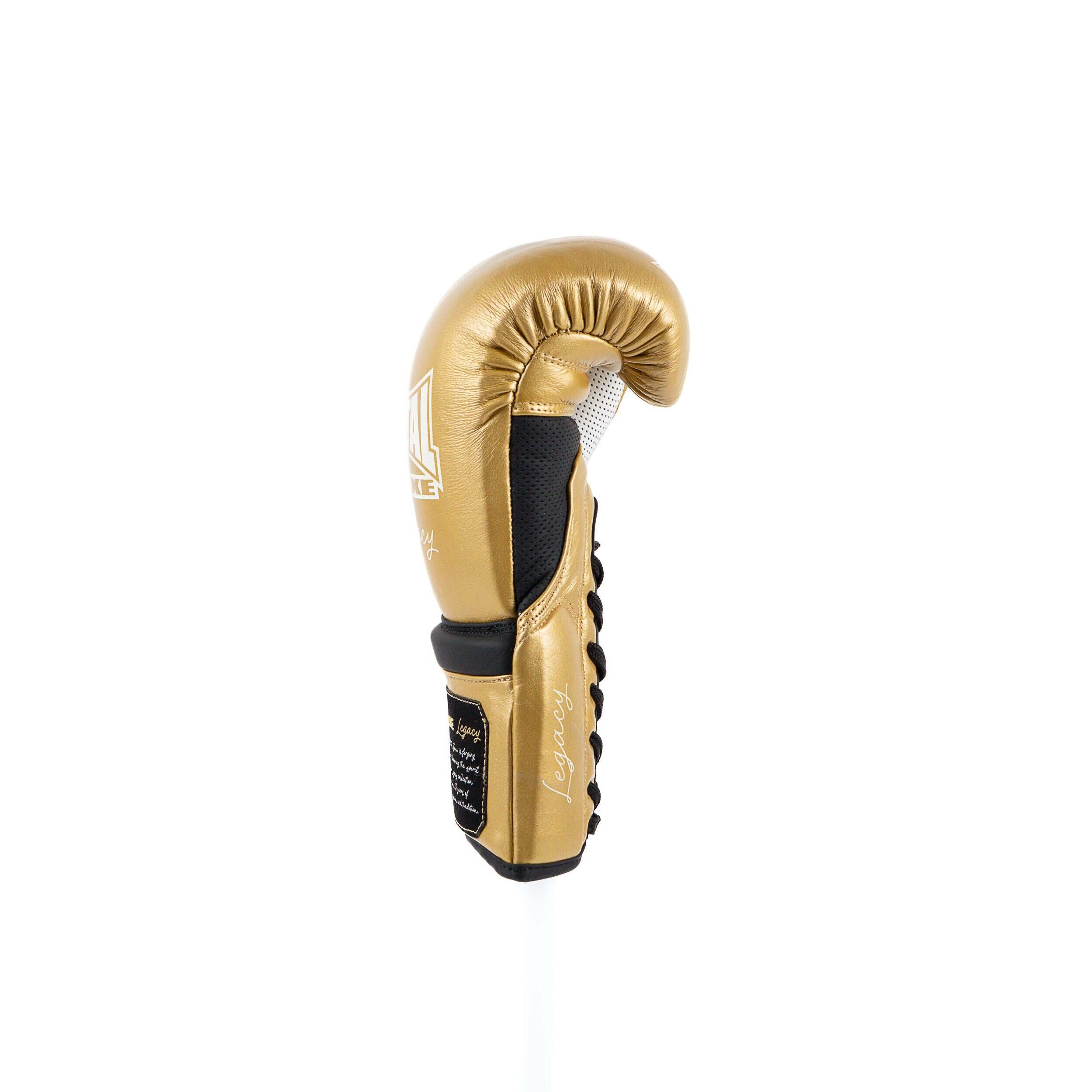 Gants de boxe Metal Boxe Legacy Horse Hair 7/7