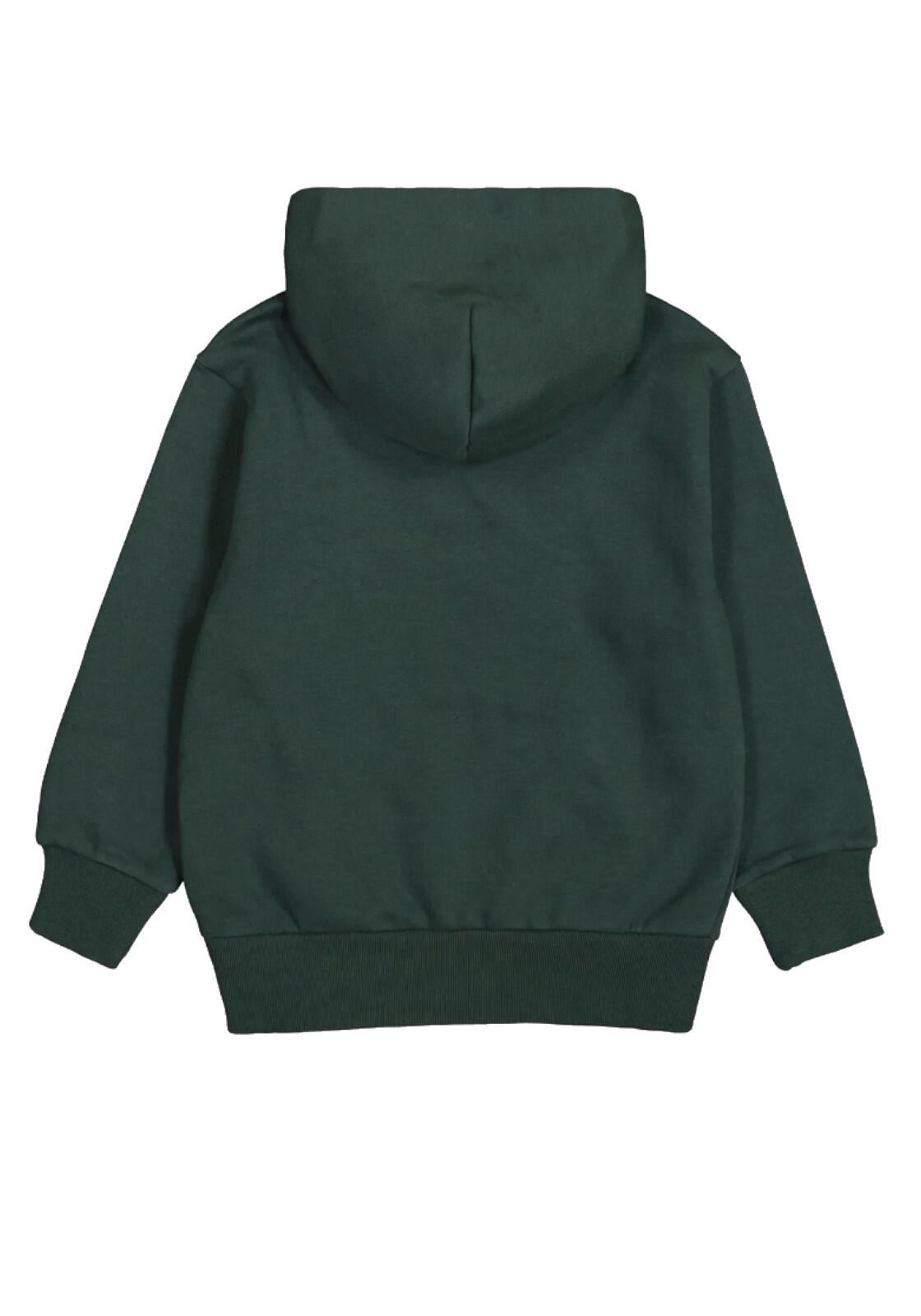 HOODED SWETASHIRT COL GS514 2/2