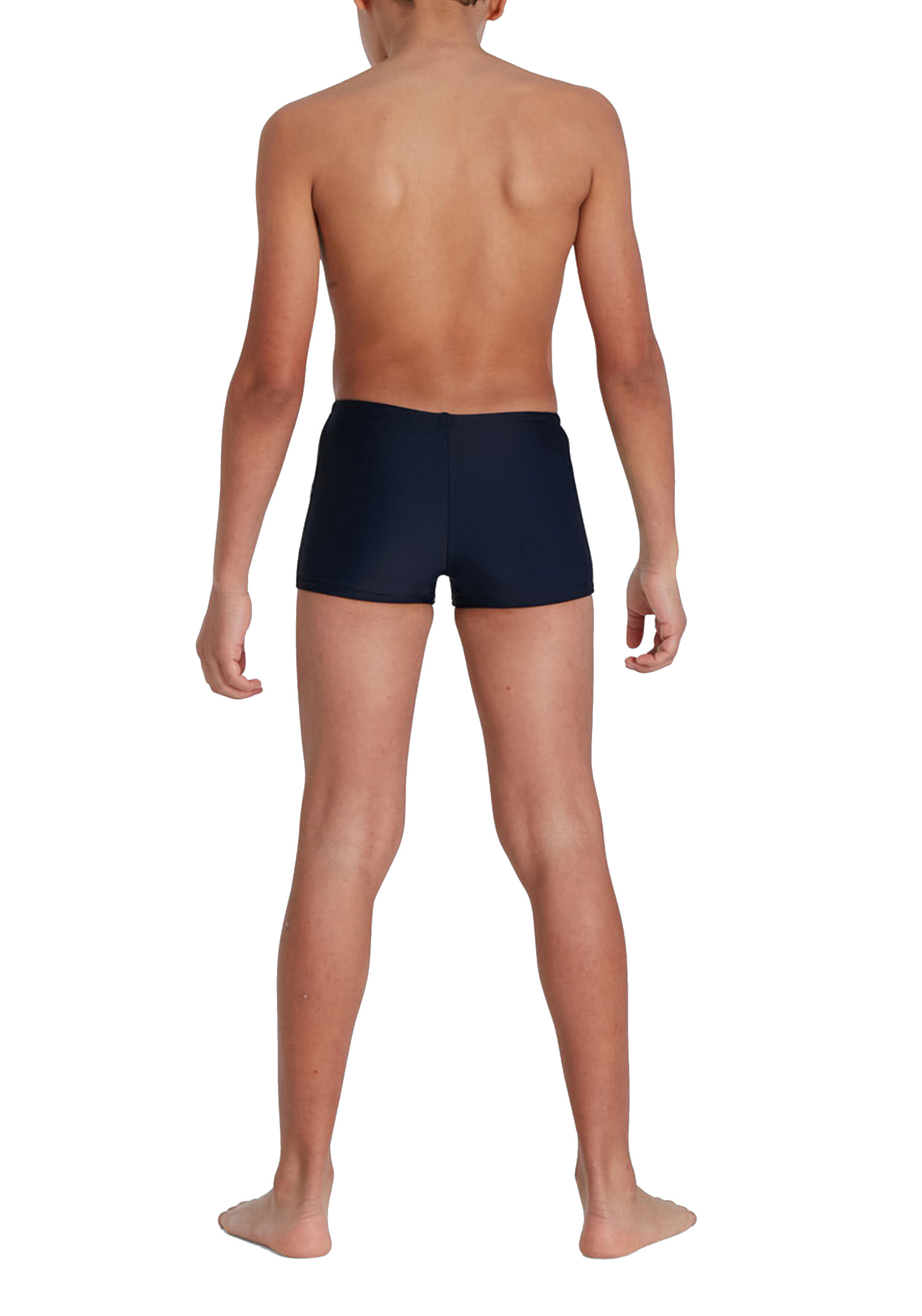 DIVE ASH JM COL  H137 3/4