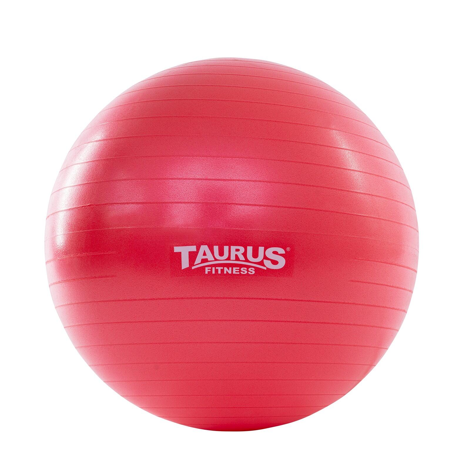 Swiss ball Taurus 65 cm 3/4
