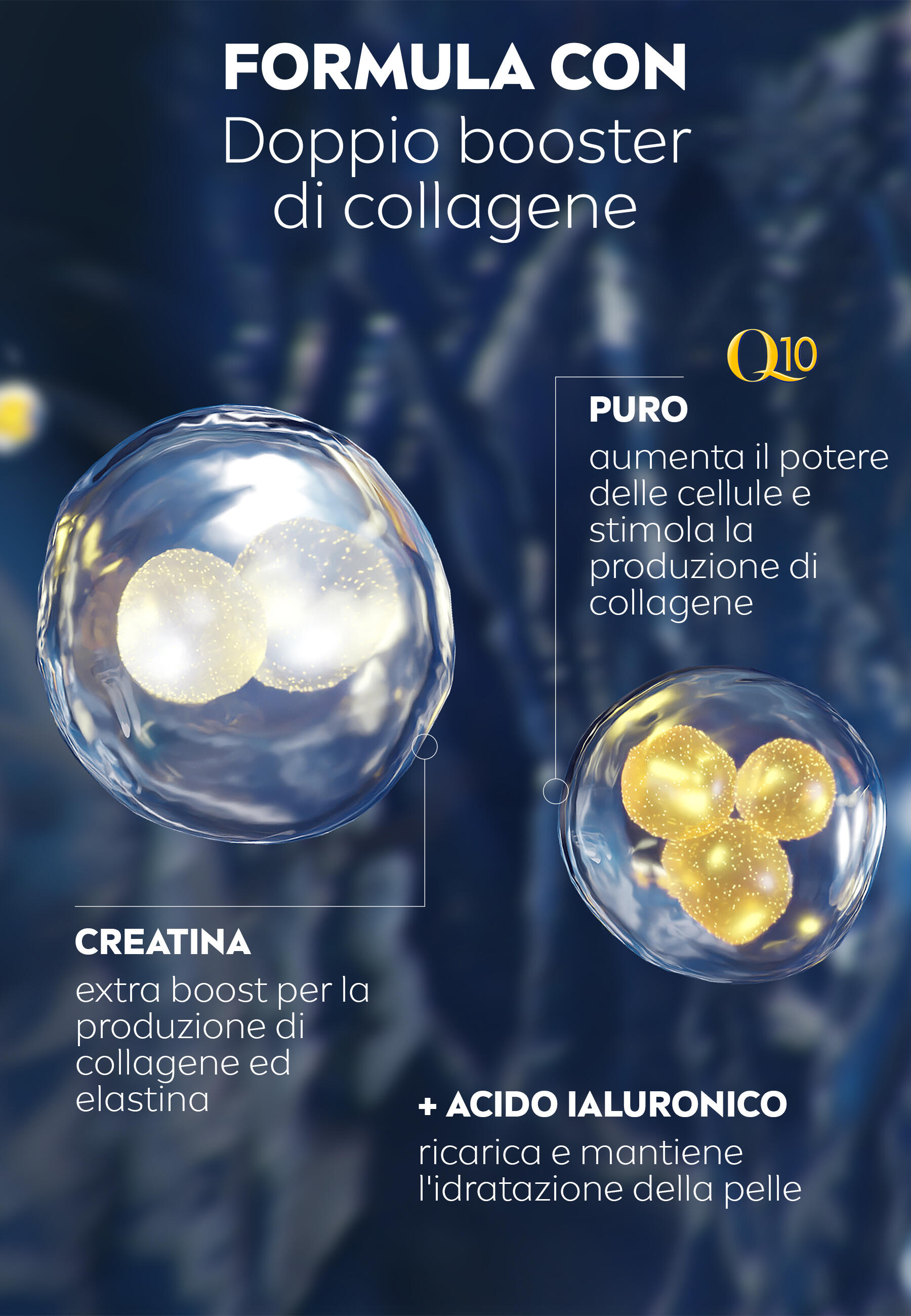 Crema Notte Extra Rigenerante Q10 Antirughe 50 ml 3/7