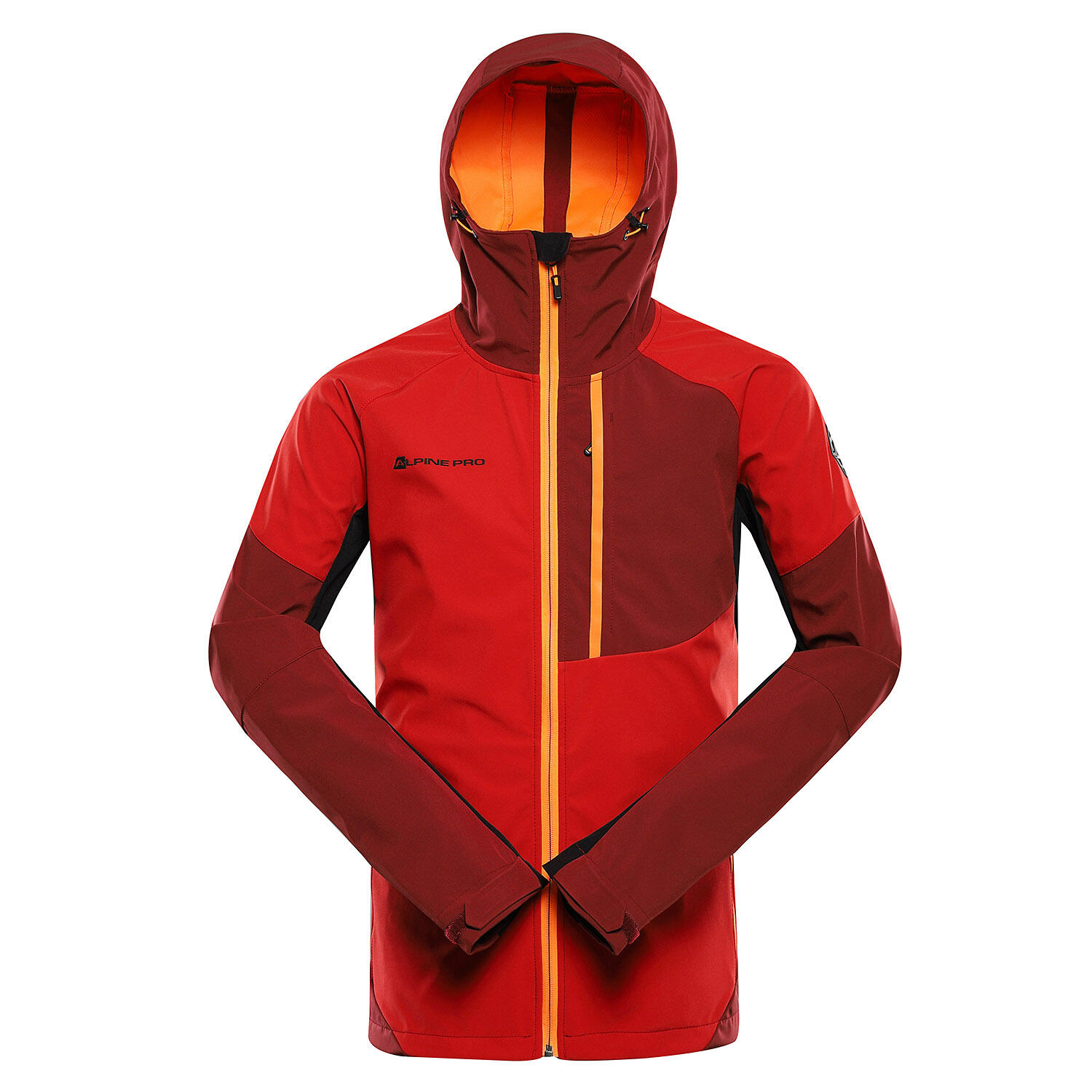 ALPINE PRO picture