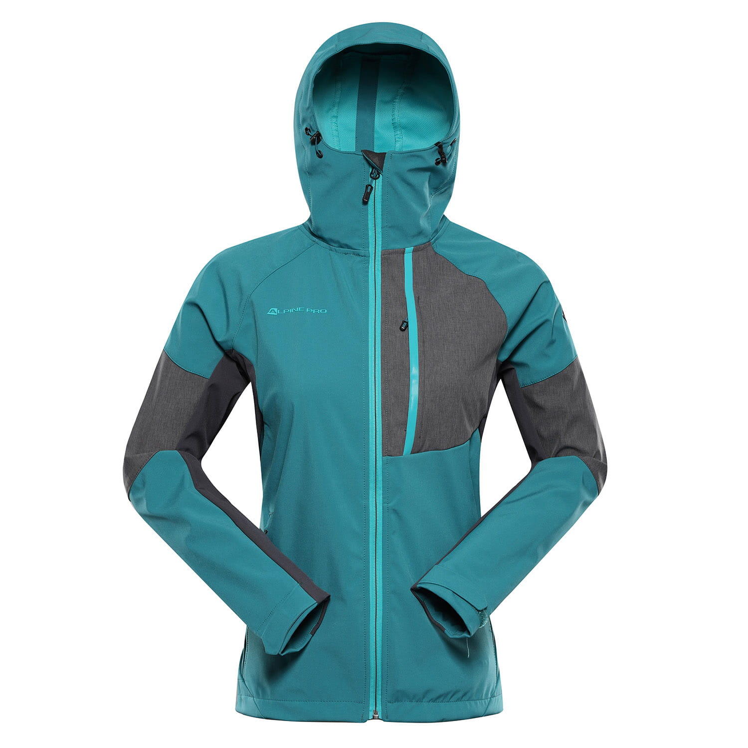 ALPINE PRO picture