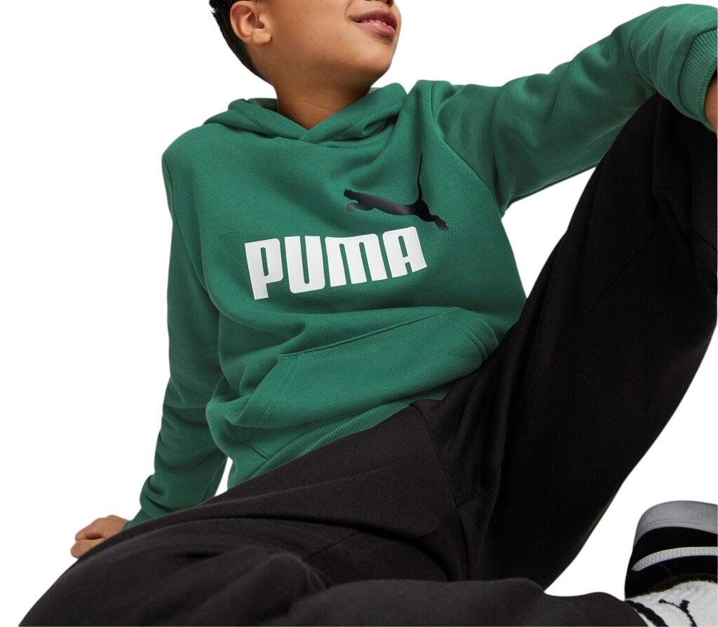 PUMA picture