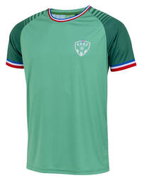 Maillot homme ASSE - Collection officielle AS SAINT ETIENNE