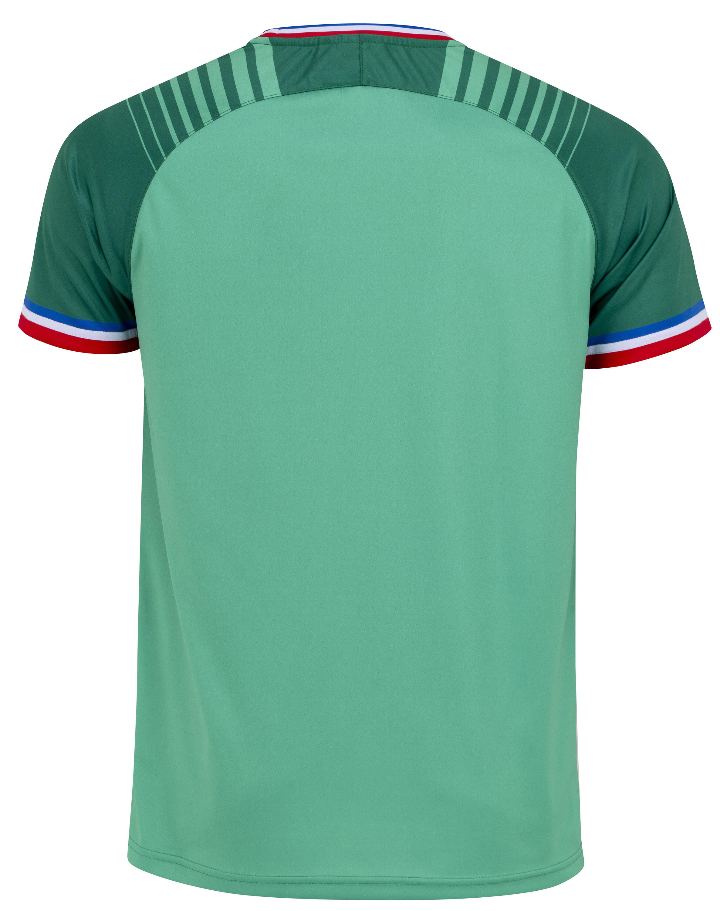 Maillot homme ASSE - Collection officielle AS SAINT ETIENNE 2/2