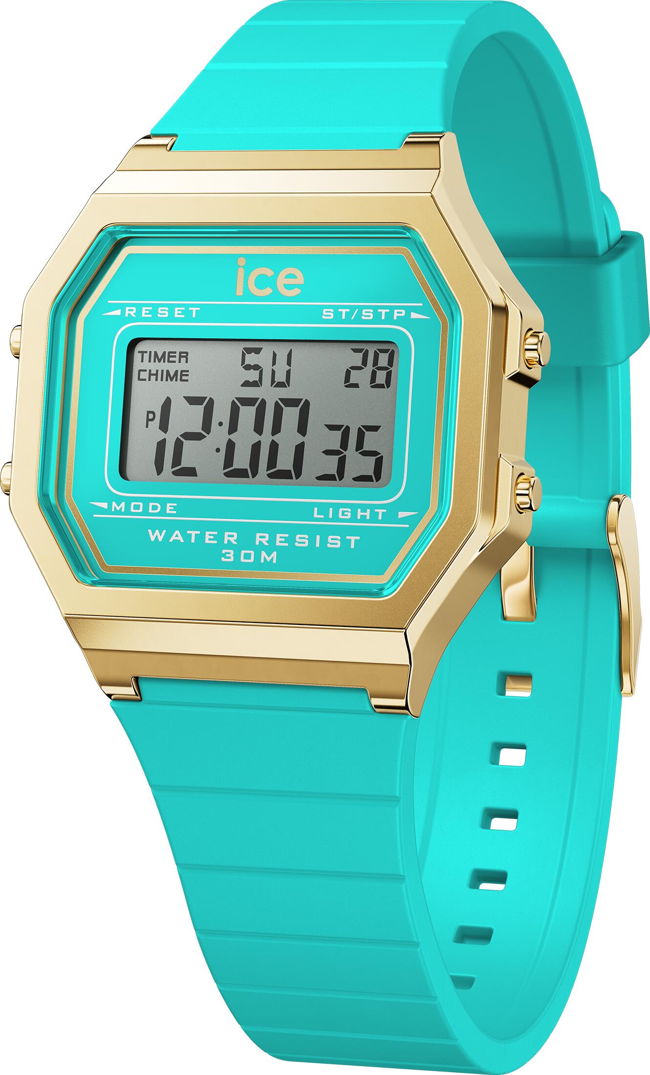 ICE WATCH picture