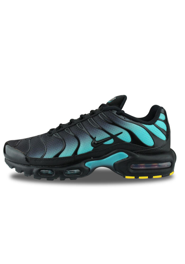 Nike Air Max Plus Dusty Cactus Dm0032-016 2/5