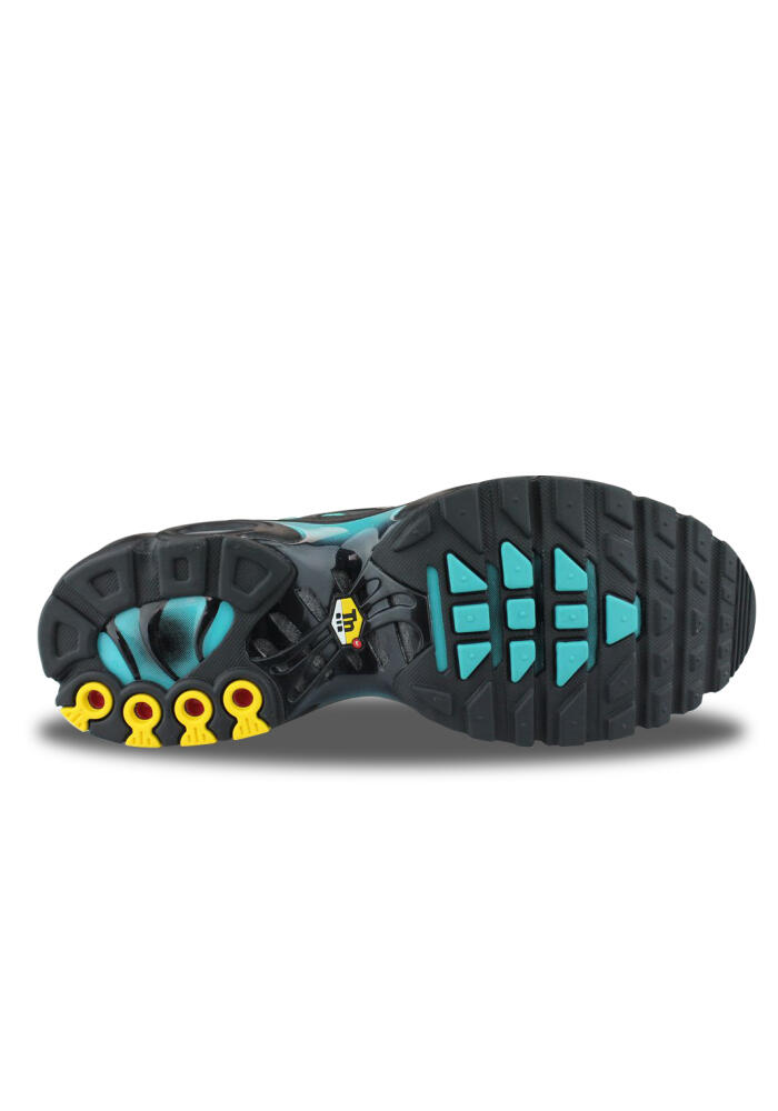 Nike Air Max Plus Dusty Cactus Dm0032-016 4/5