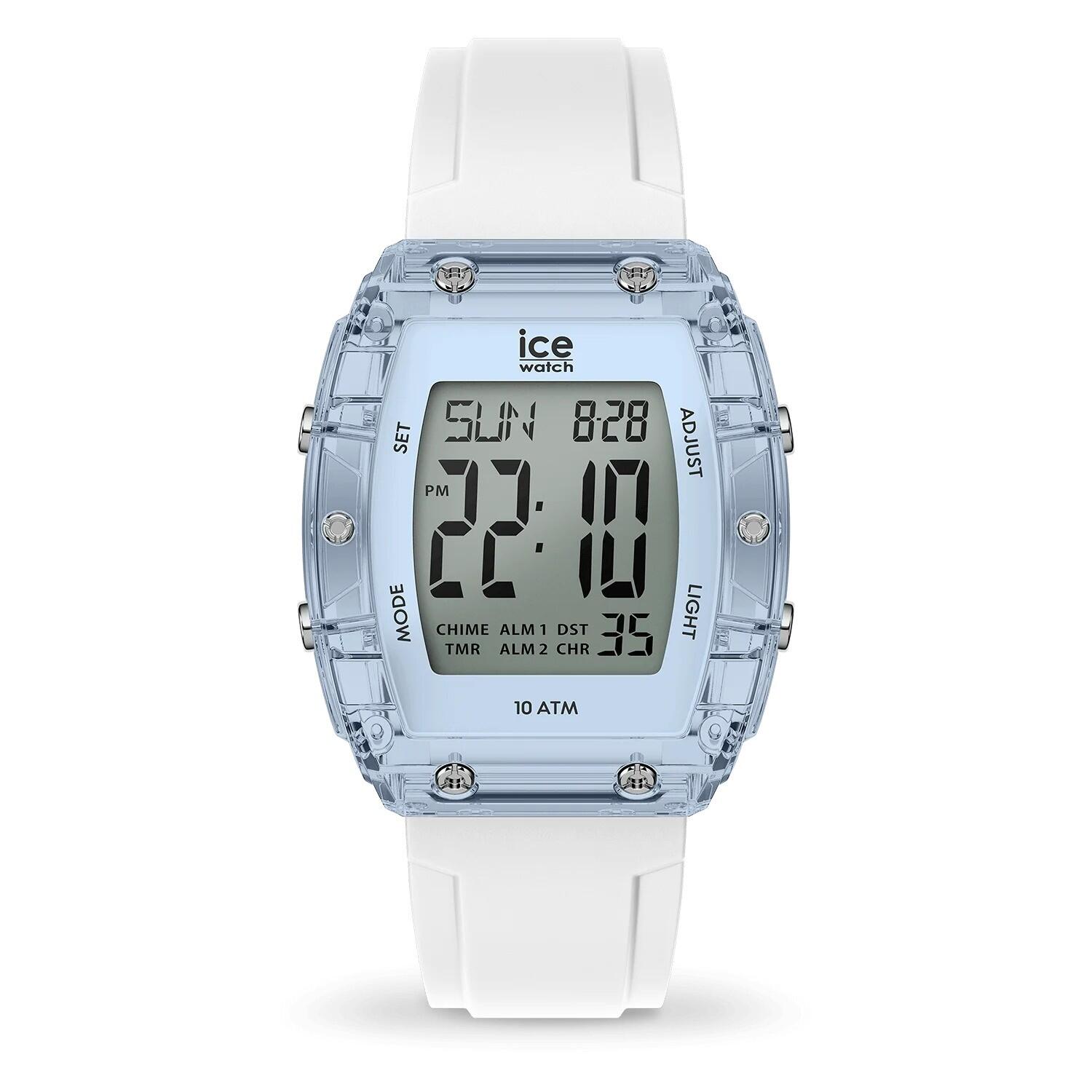 ICE WATCH picture