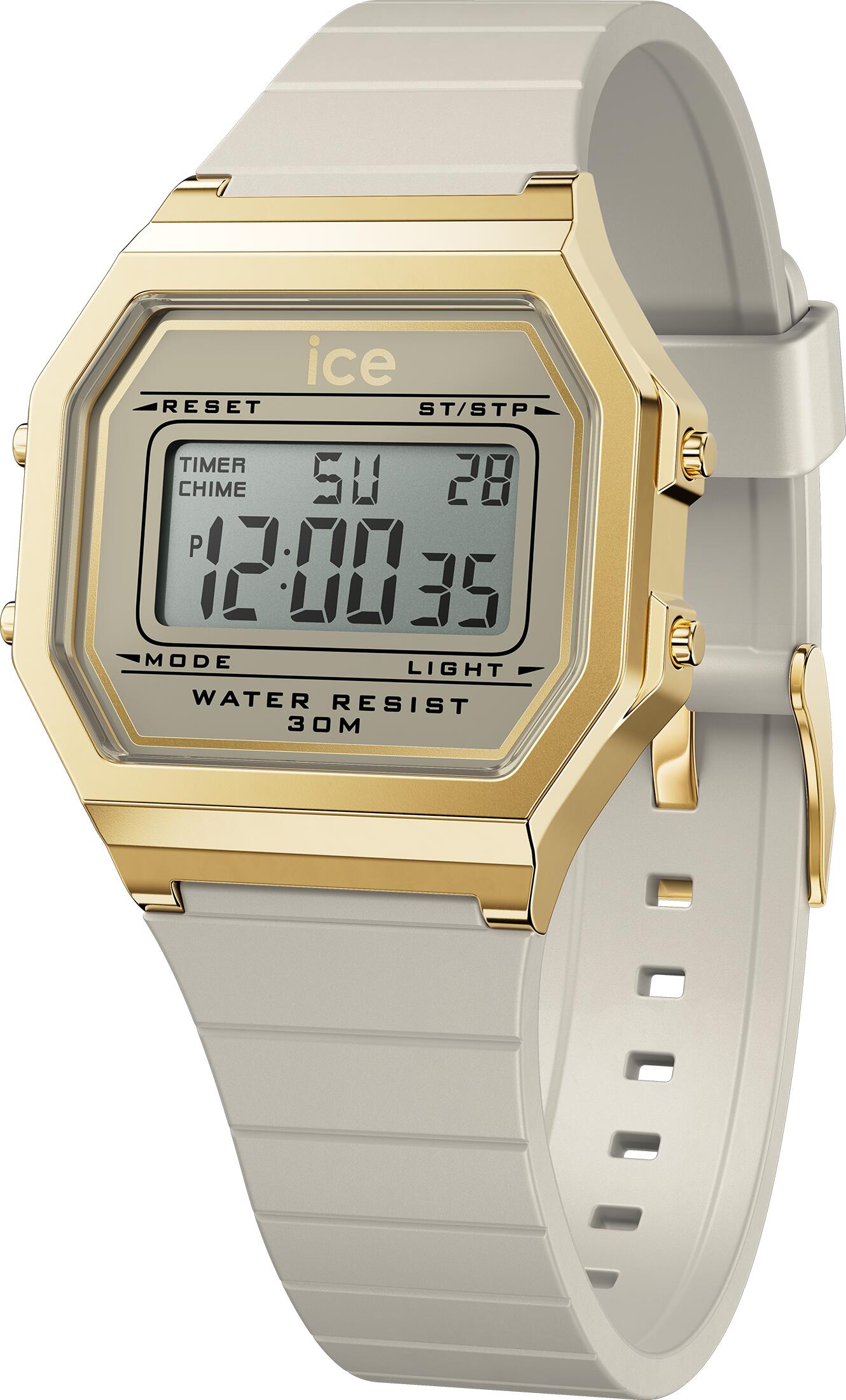 ICE WATCH picture