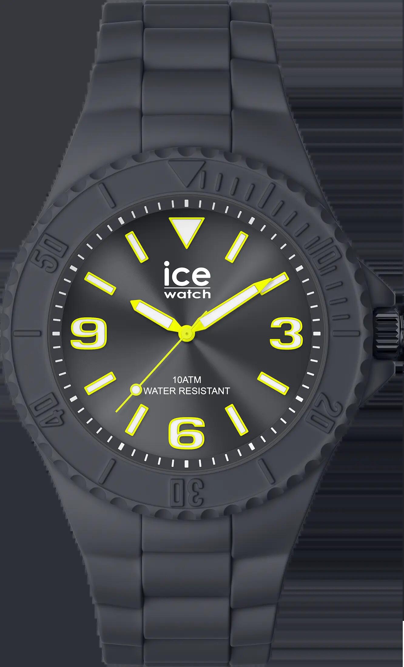 ICE WATCH picture