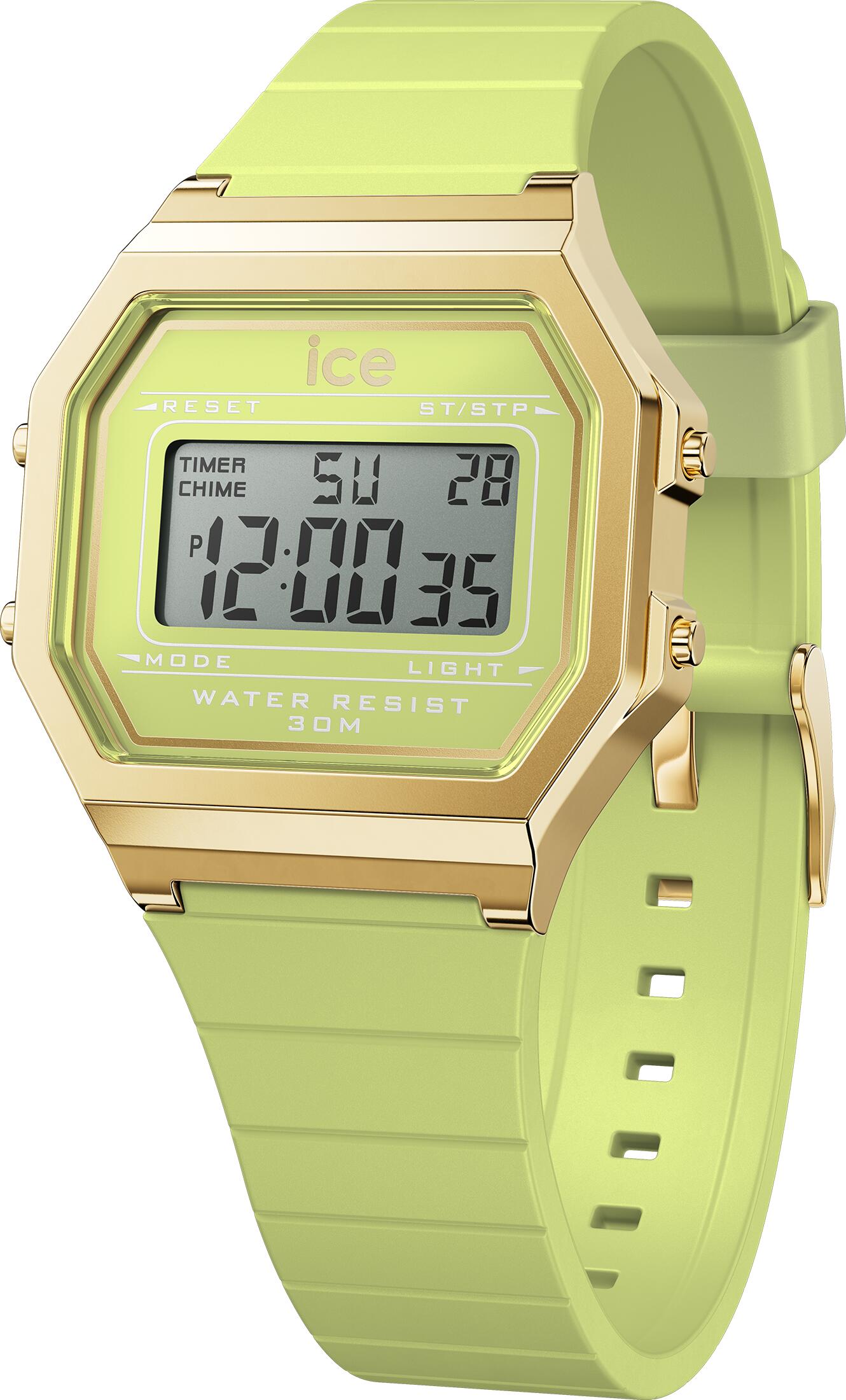 ICE WATCH picture