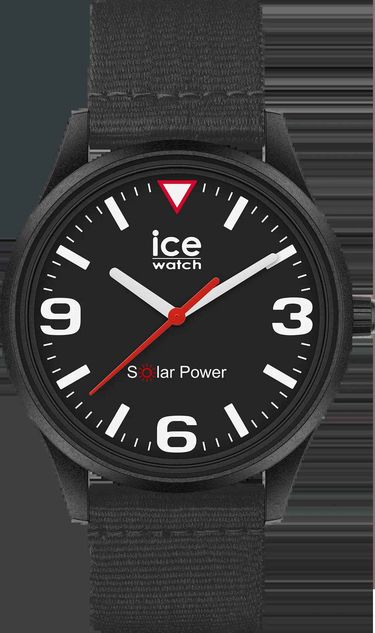 ICE WATCH picture