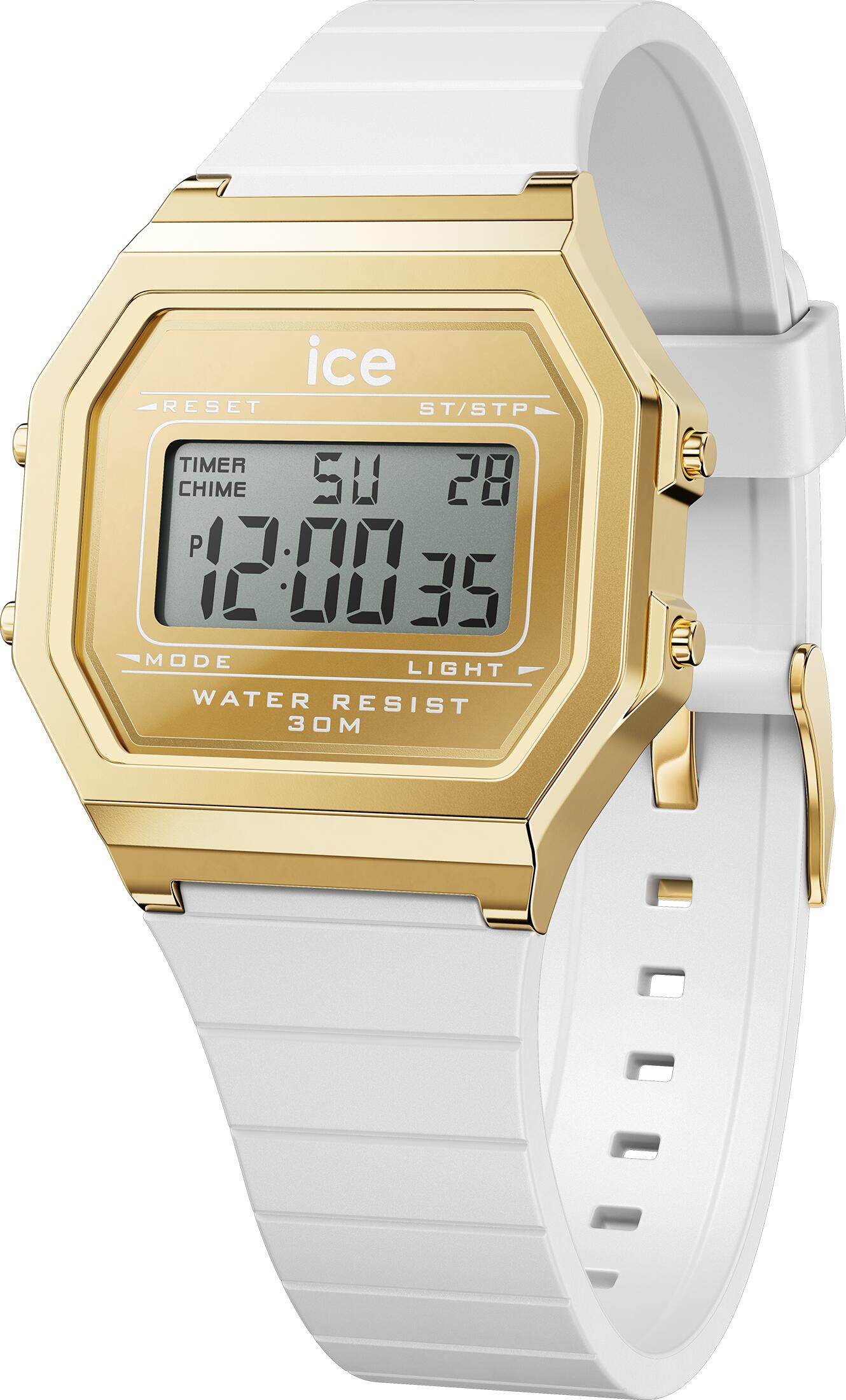 ICE WATCH picture