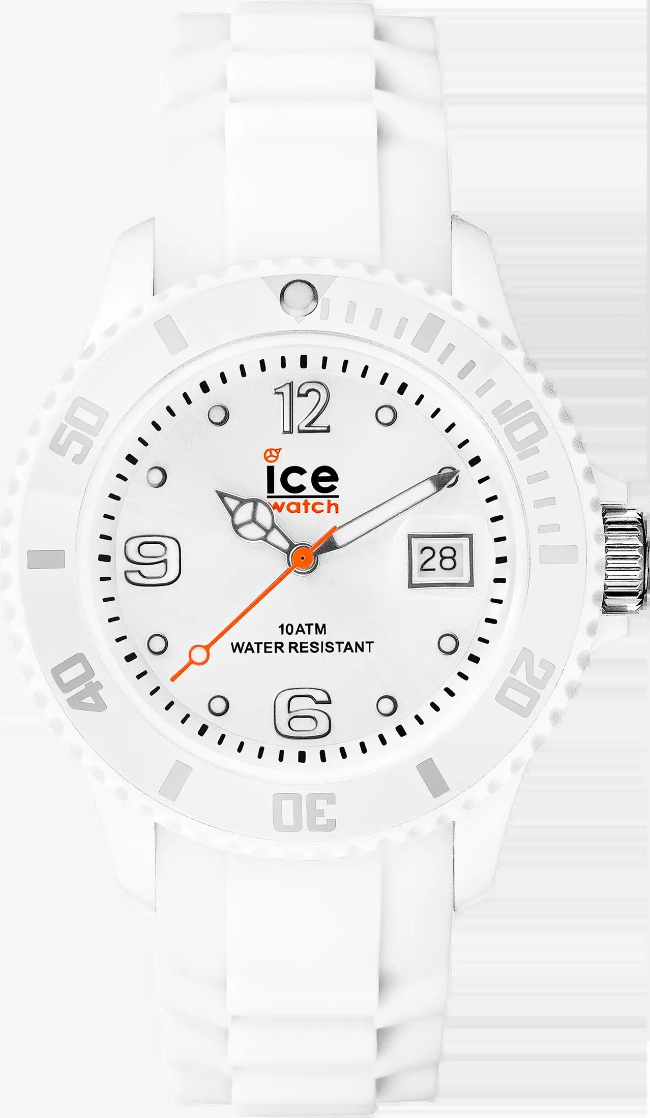 ICE WATCH picture