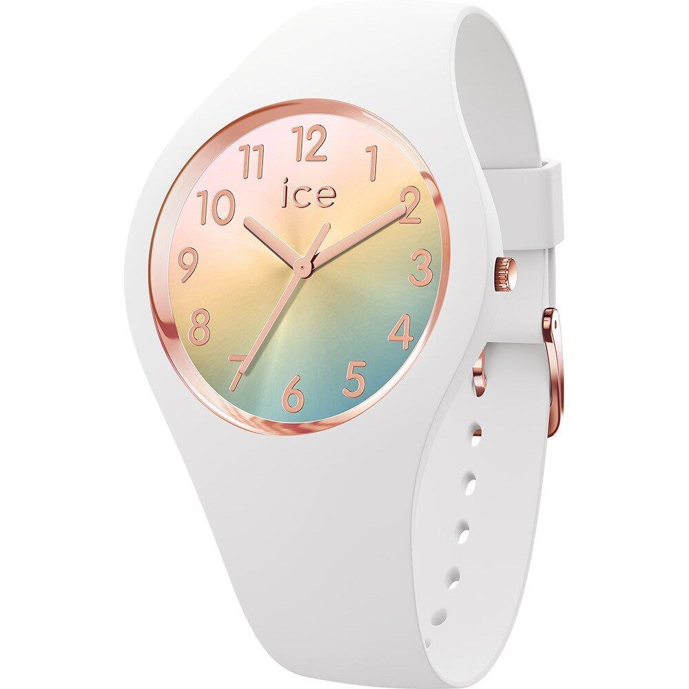 ICE WATCH picture