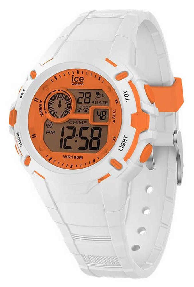 ICE WATCH picture