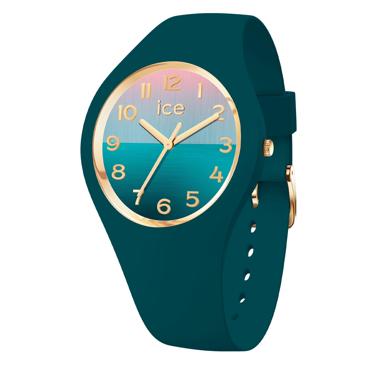ICE WATCH picture