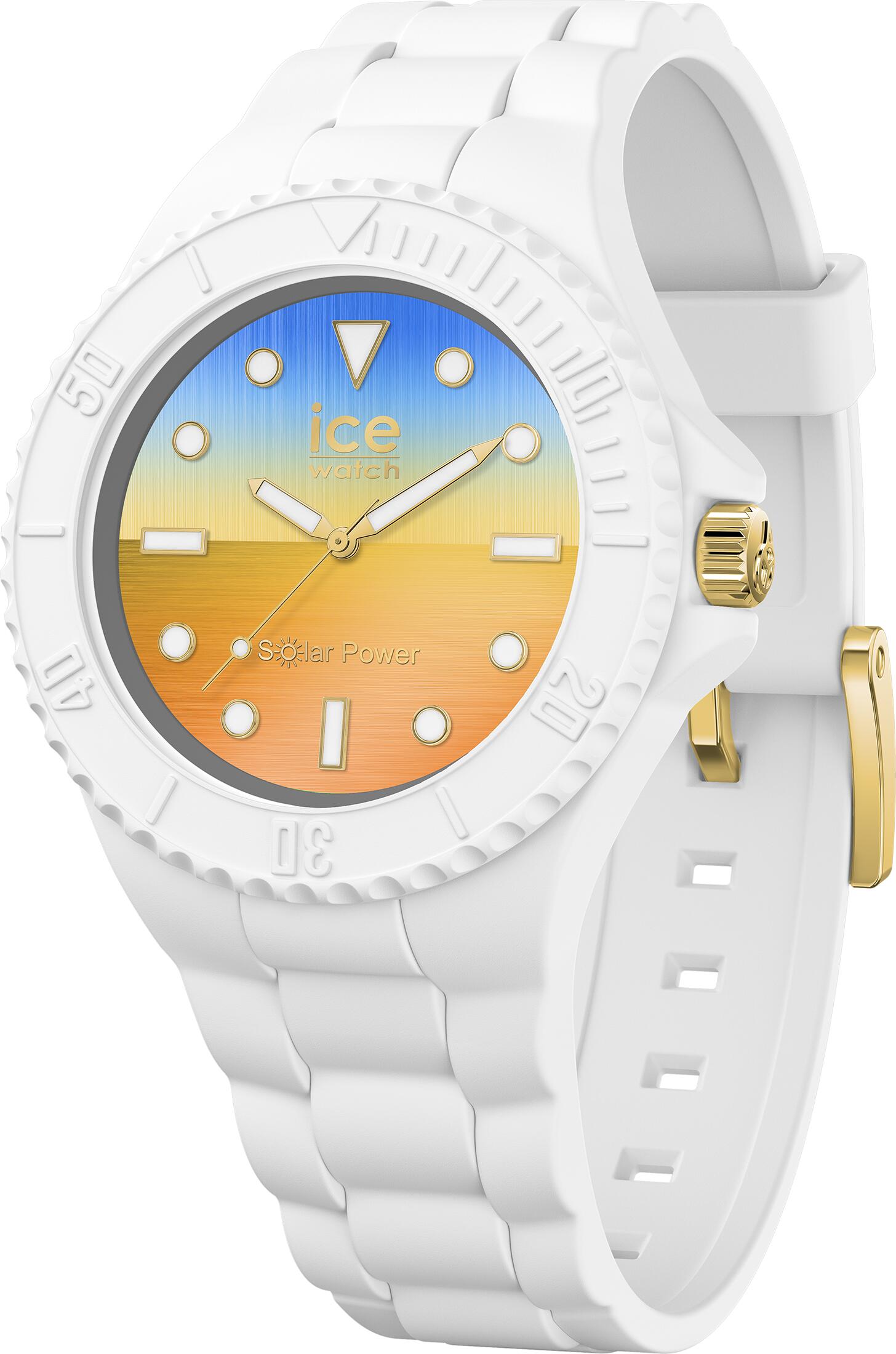 ICE WATCH picture