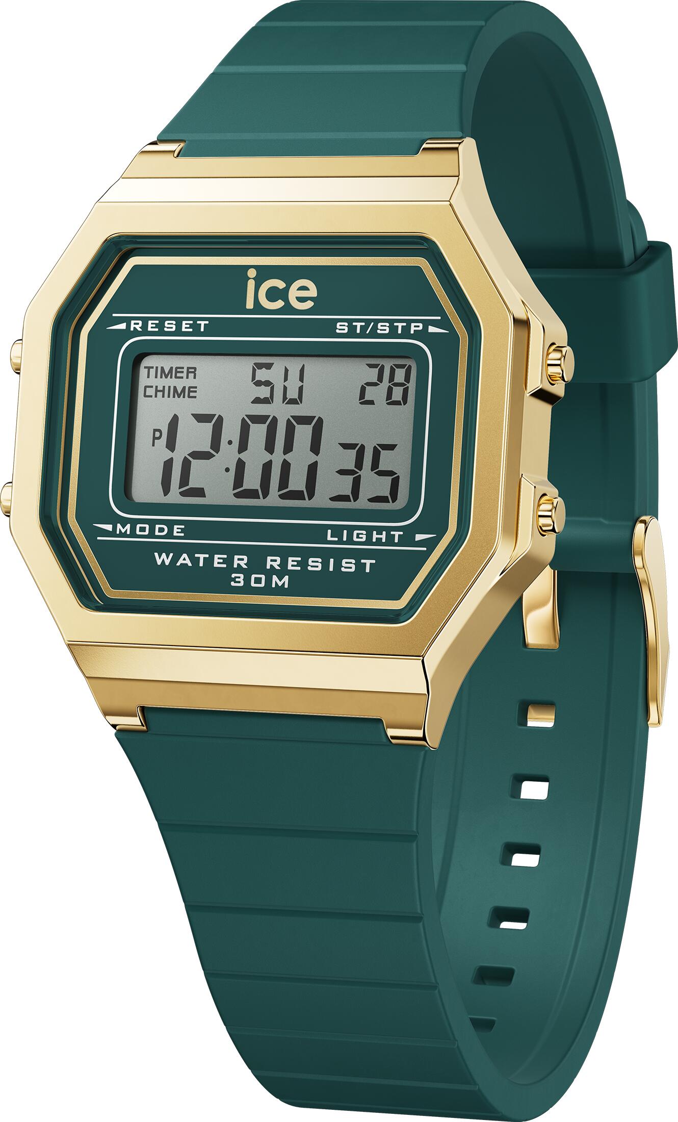 ICE WATCH picture