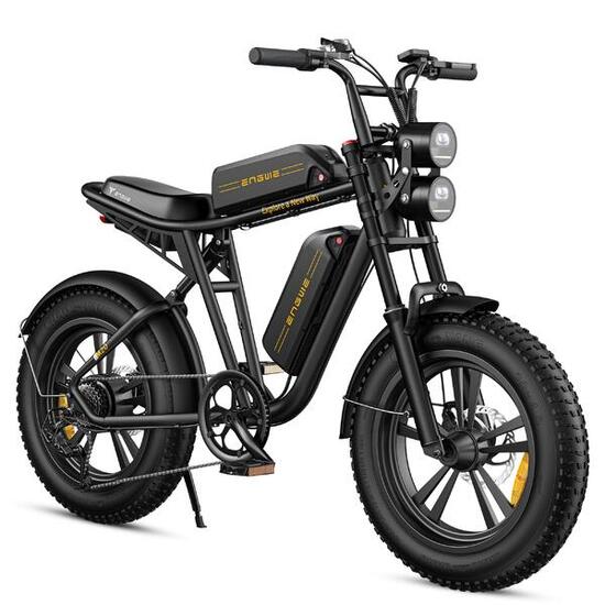 Vélo électrique avec SHIMANO 7 Gang, 48V 13Ah+13Ah Battery, 75+75 km