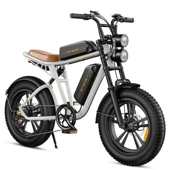 Vélo électrique avec SHIMANO 7 Gang, 48V 13Ah+13Ah Battery, 75+75 km