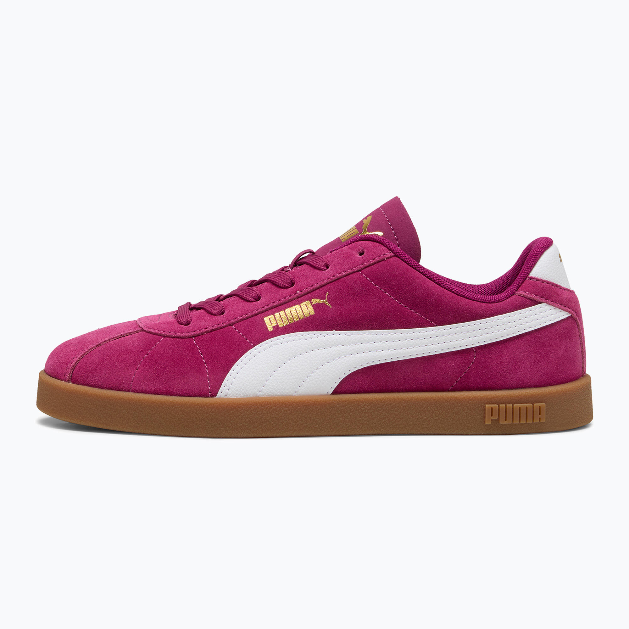 PUMA picture