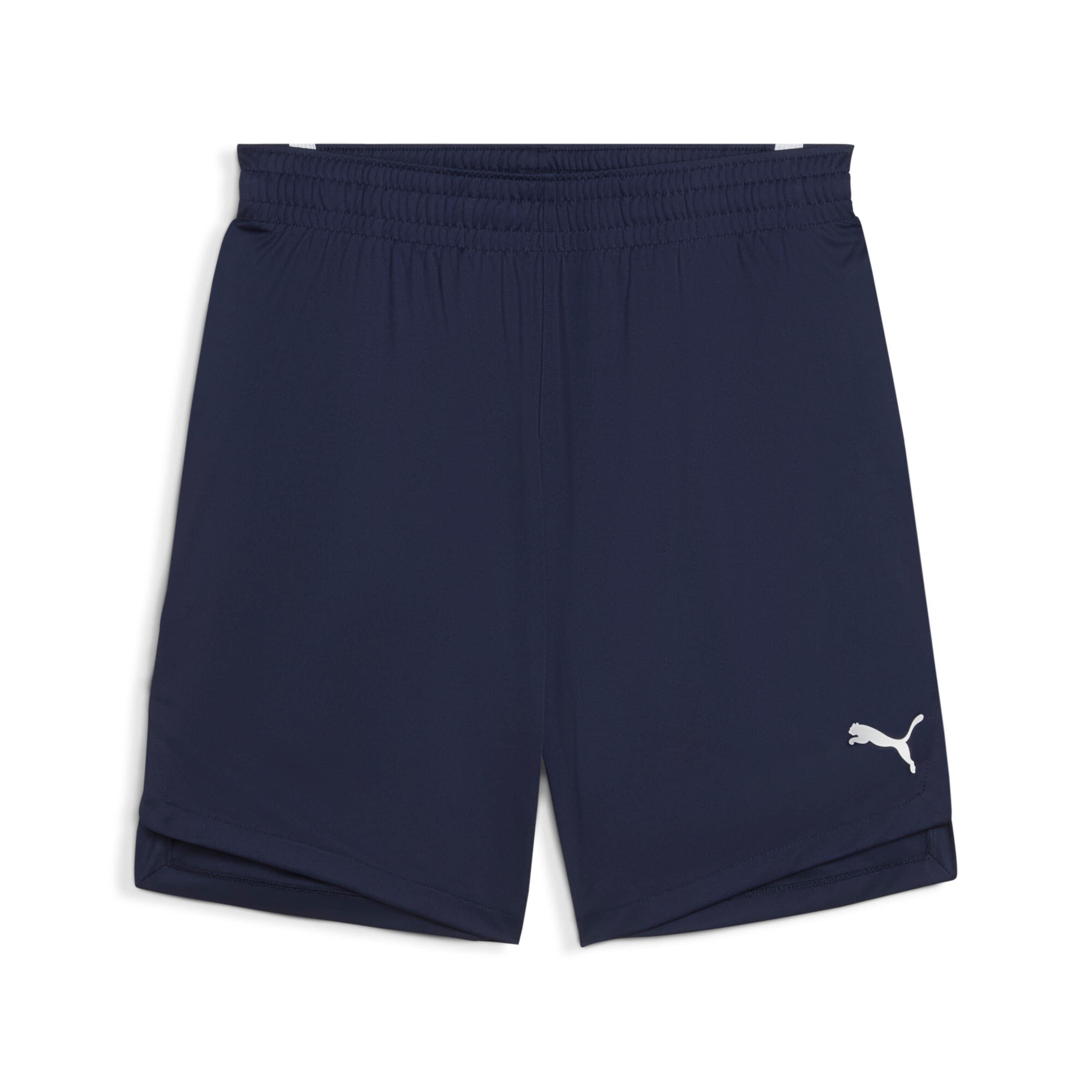 PUMA picture