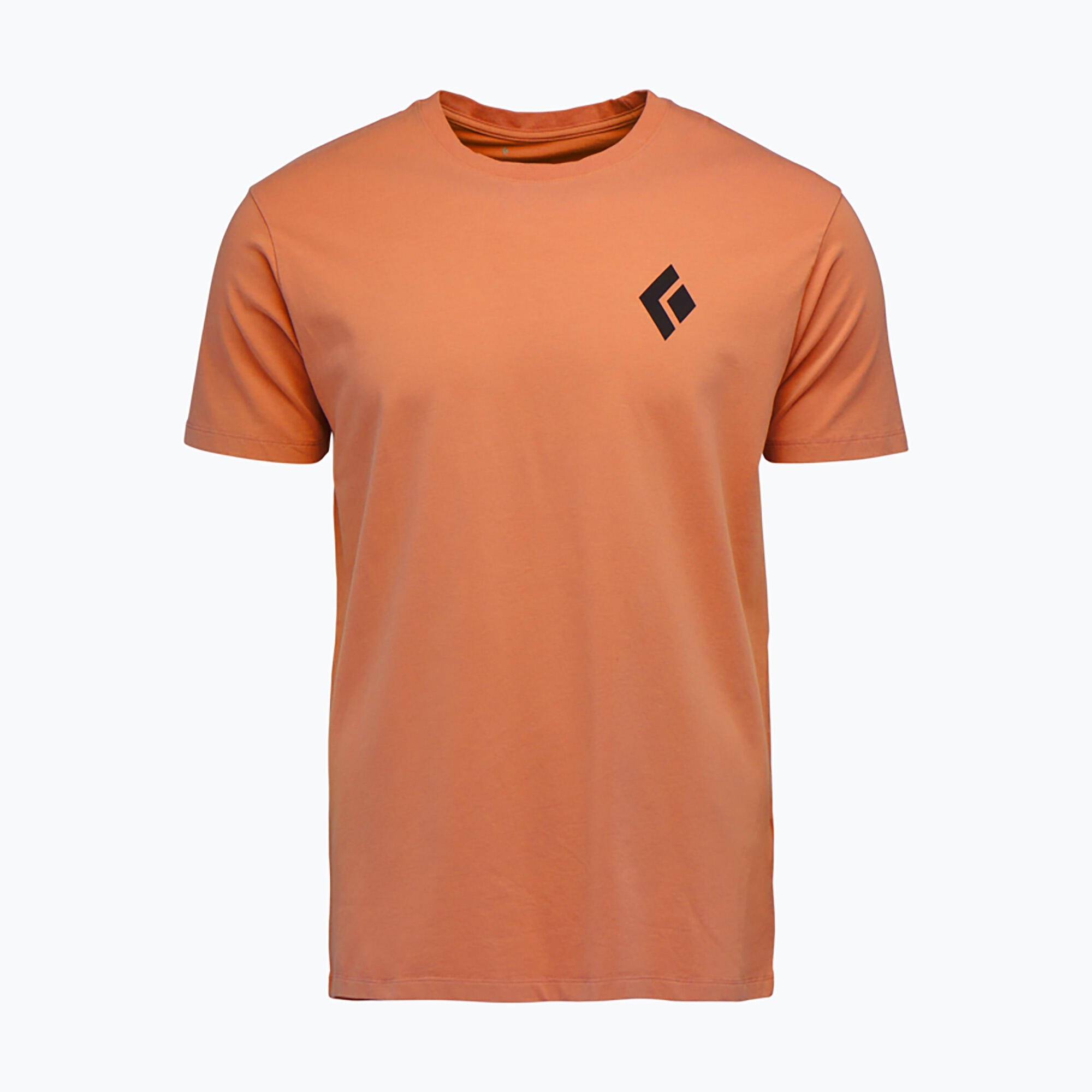 Heren T-shirt Diamond Equipment For Alpinist SS Tee 5/5