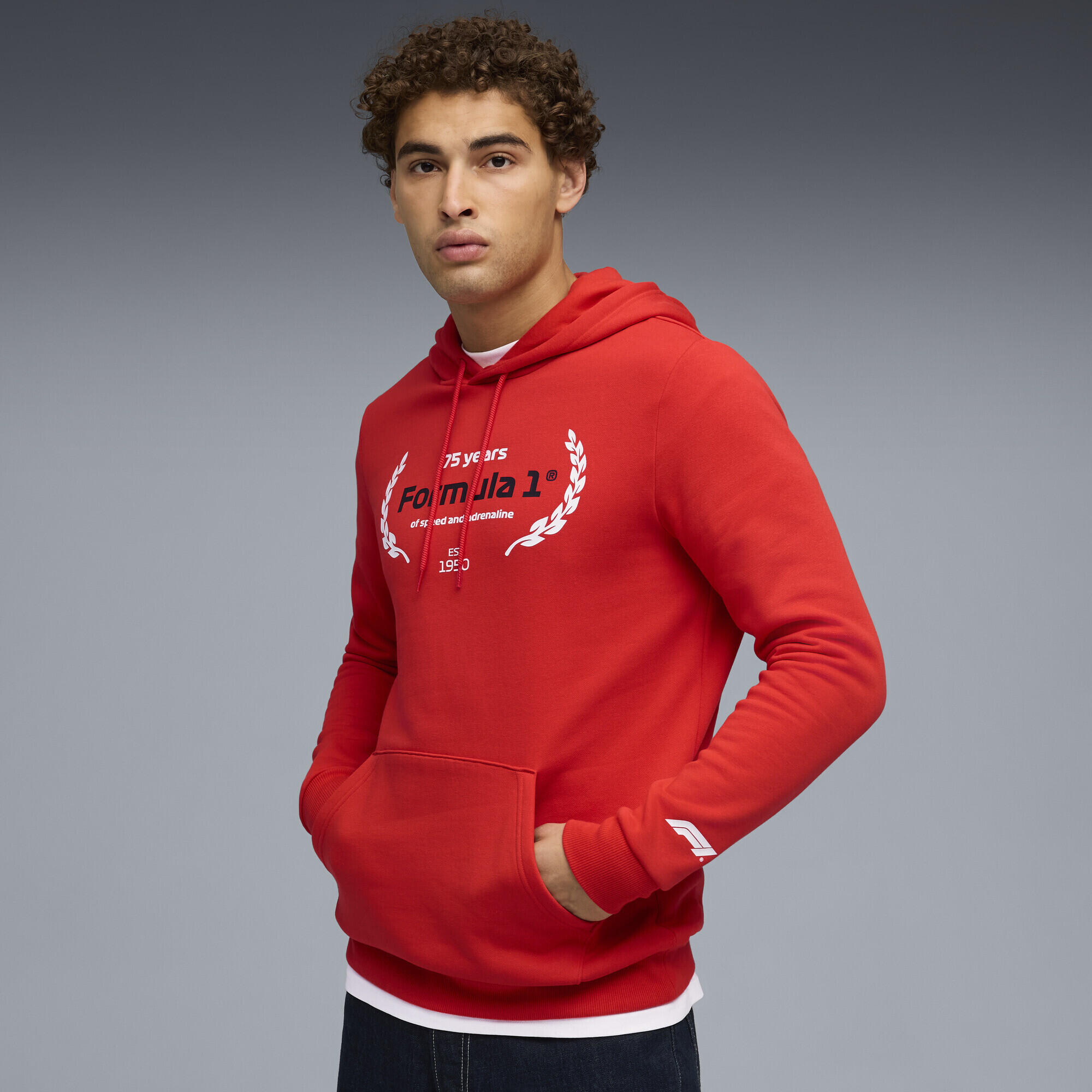 Męska bluza z kapturem F1® Essentials z logo i grafiką PUMA