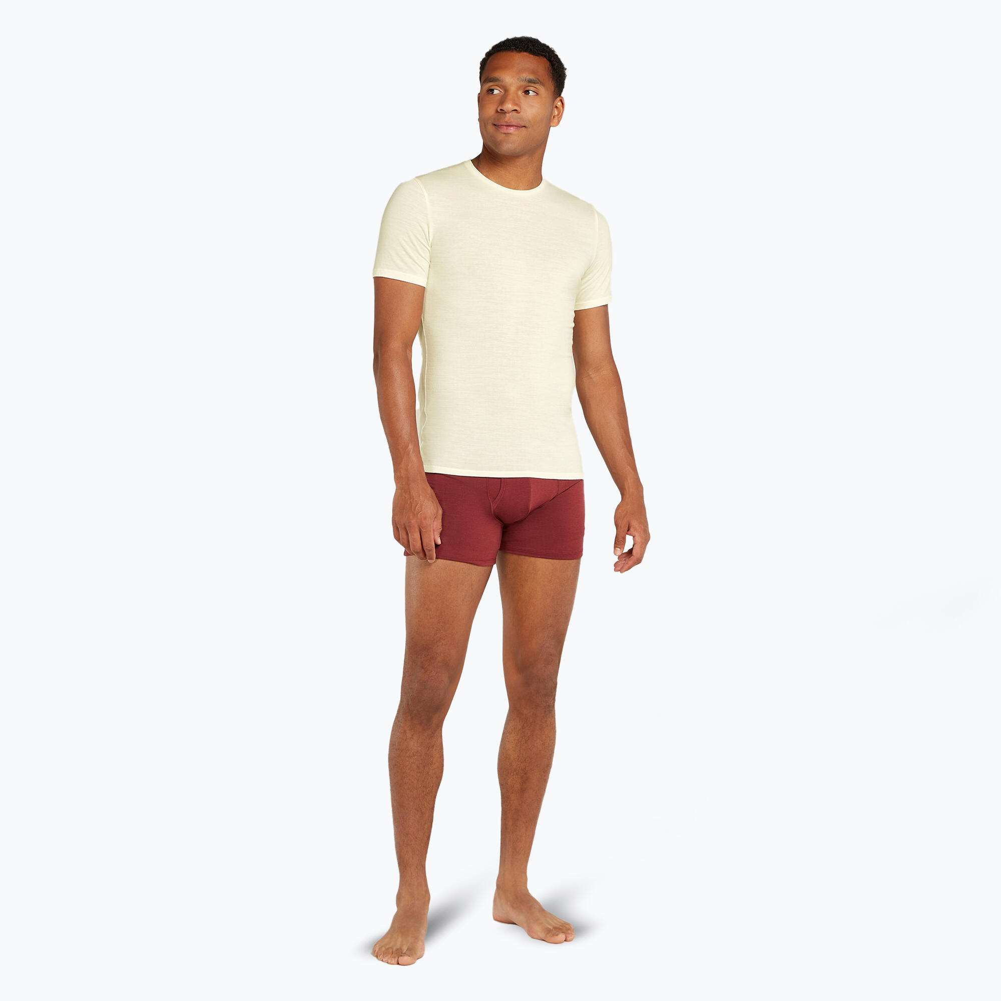 Koszulka trekkingowa męska icebreaker Anatomica Crewe undyed