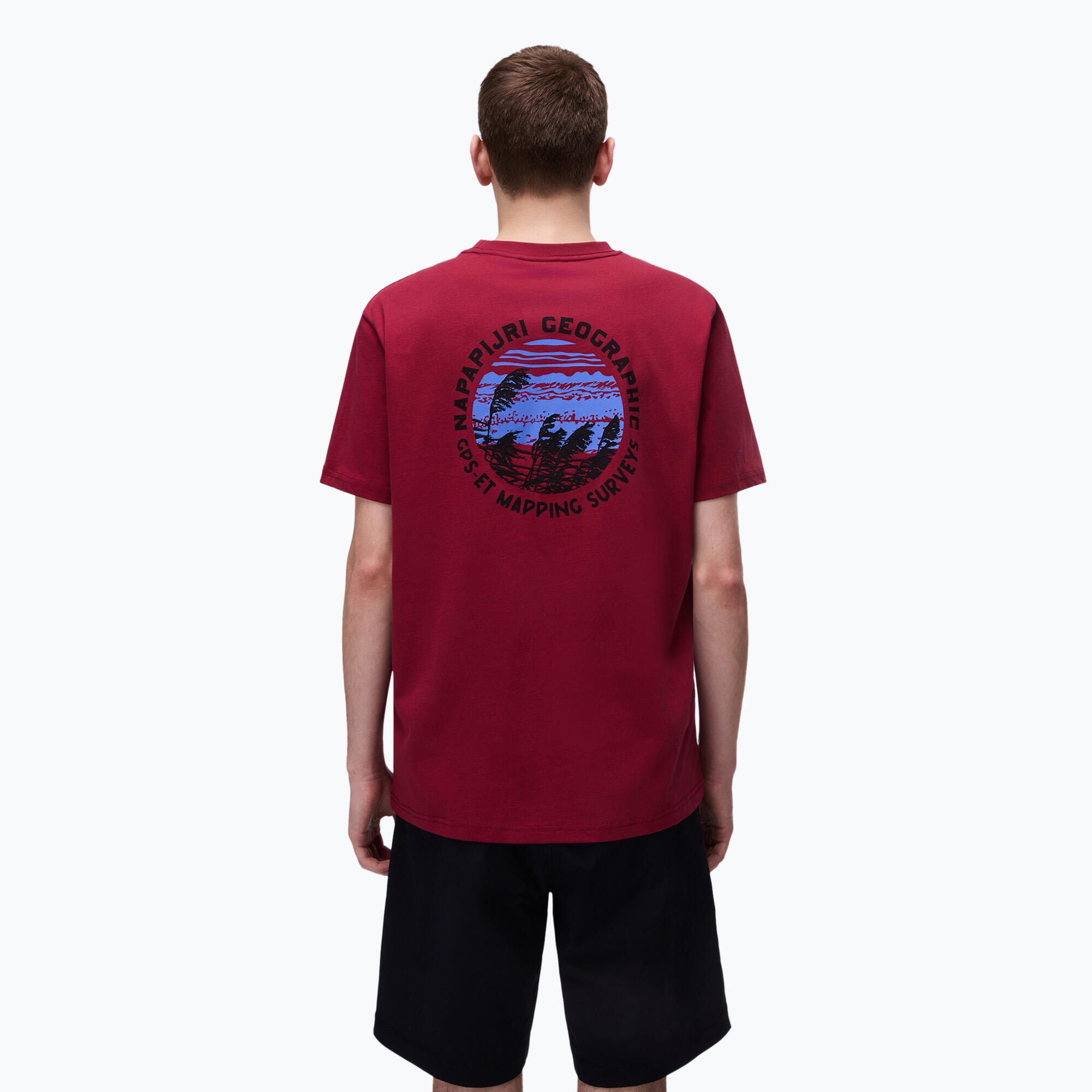 T-shirt homme Napapijri S-Vignonil Back tibetan R1E 1/5