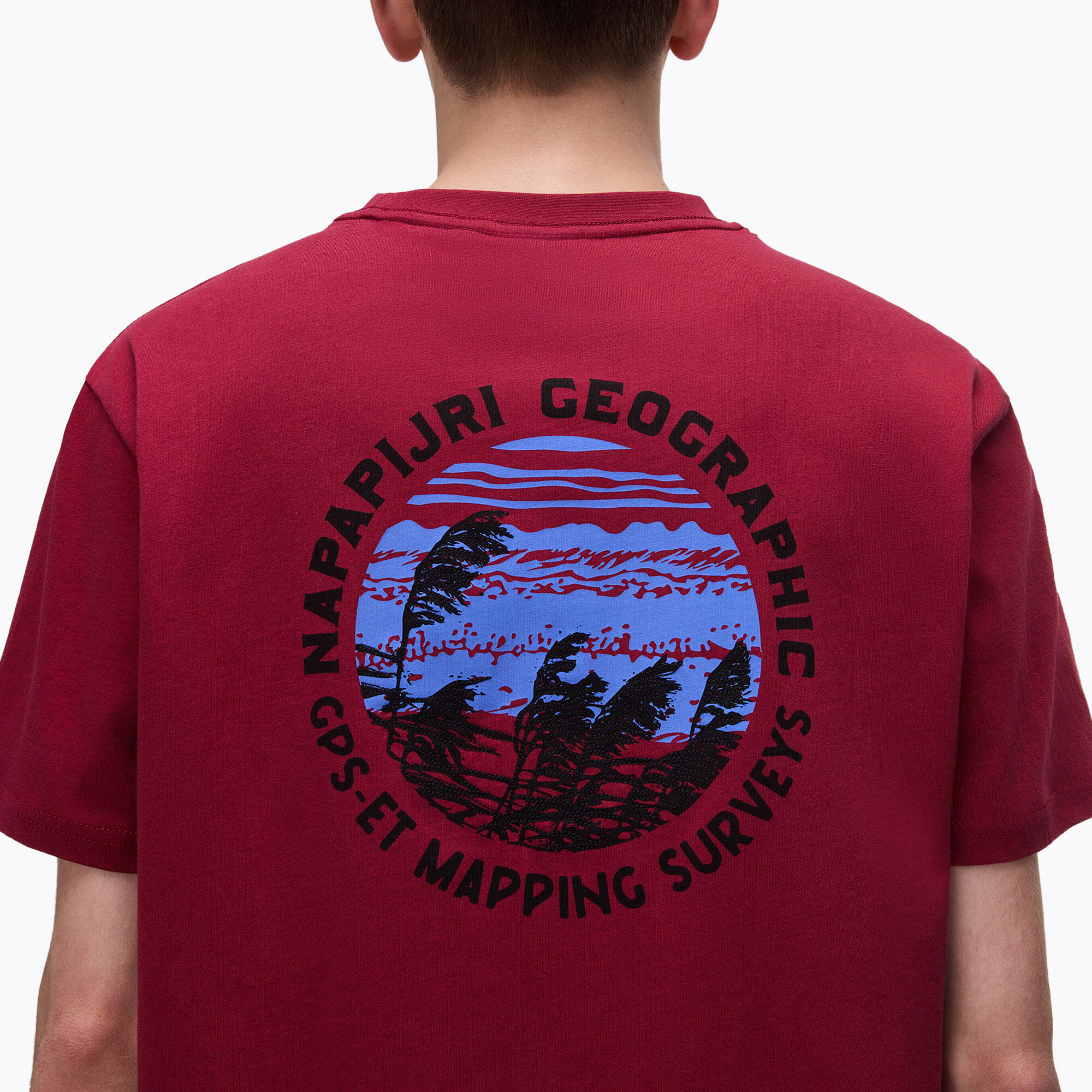 T-shirt homme Napapijri S-Vignonil Back tibetan R1E 3/5
