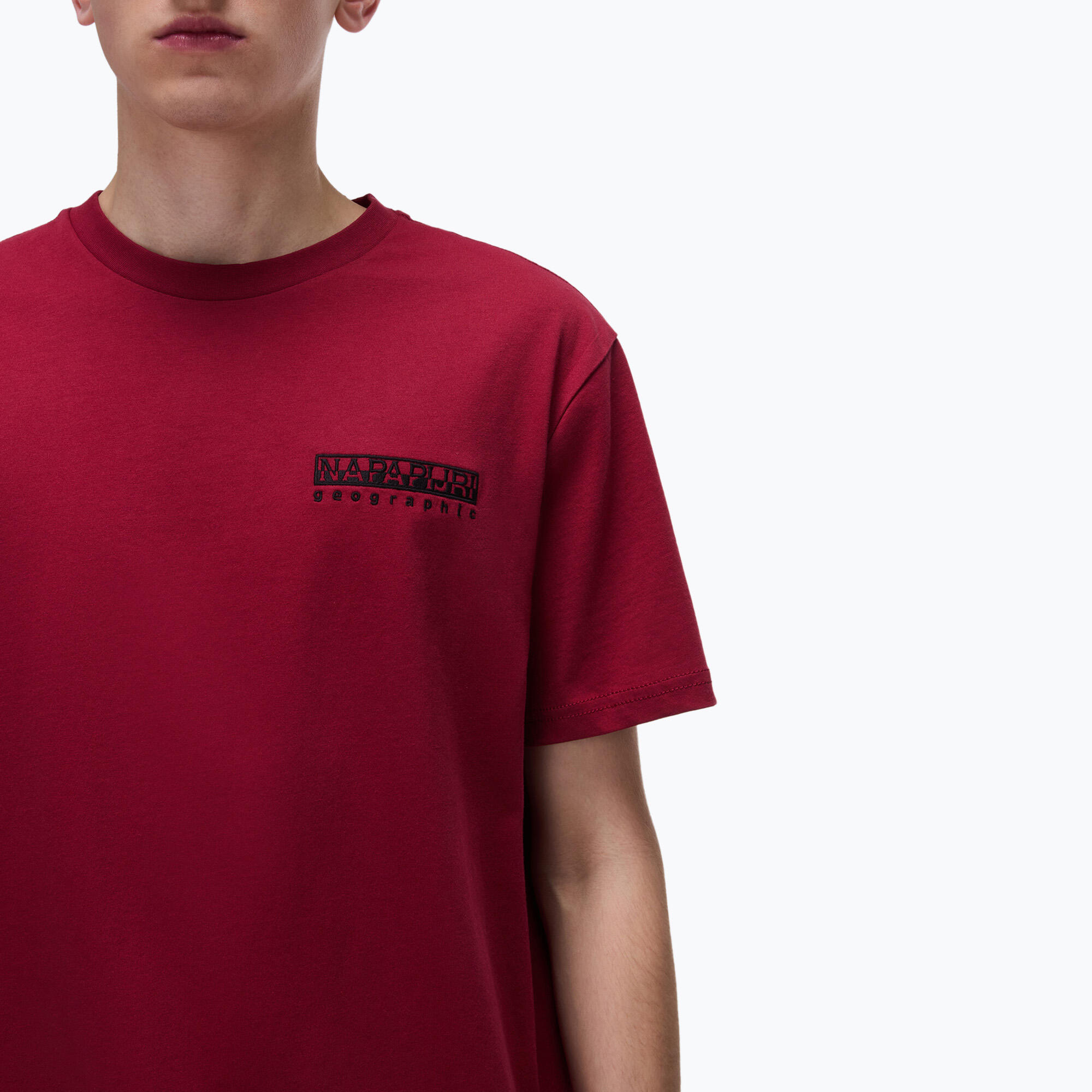 T-shirt homme Napapijri S-Vignonil Back tibetan R1E 2/5