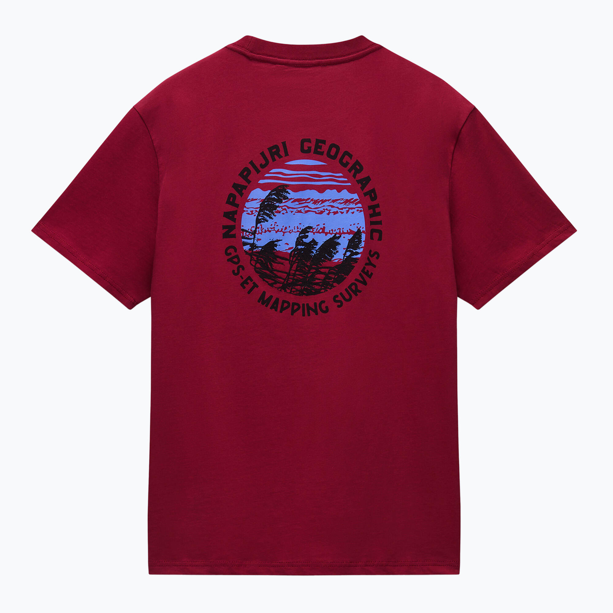 T-shirt homme Napapijri S-Vignonil Back tibetan R1E 5/5