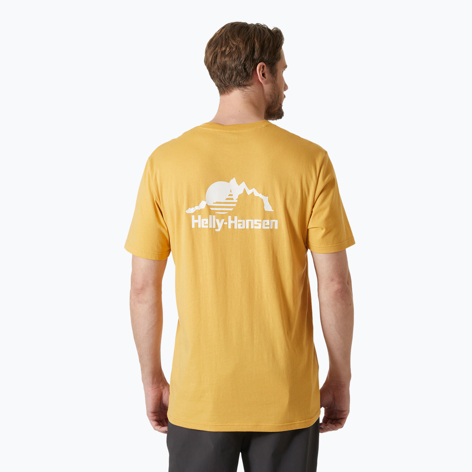 Koszulka męska Helly Hansen Nord Graphic