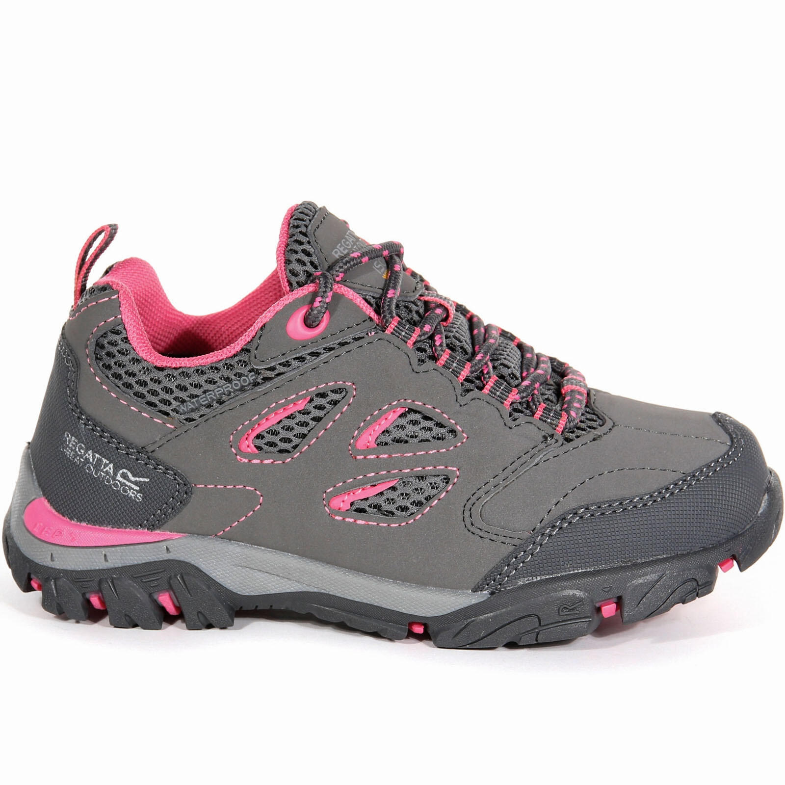 Scarpe da trekking Regatta Holcombe Low per unisex ragazzi 5/6