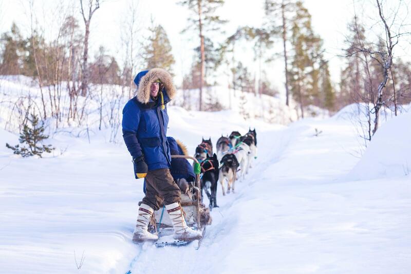 2a311328-2784-46e2-9e31-d03f4d86a91c_novar