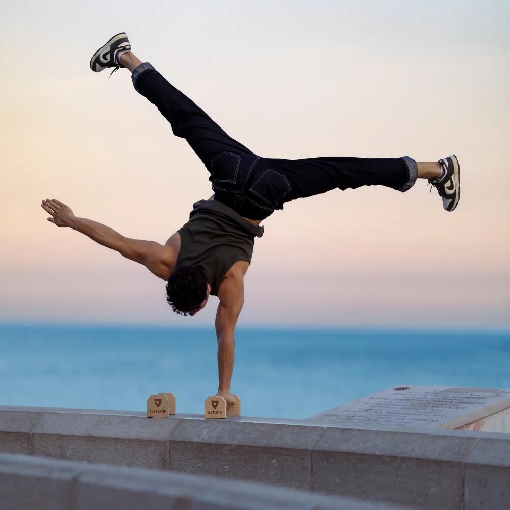 Parallettes basses en bois, pour pompes, street workout, gym 5/7